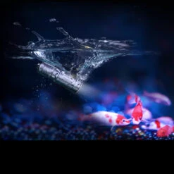 Fenix E02R -Nitecore Store FENIX E02R BRWdet3 32938.1612446444